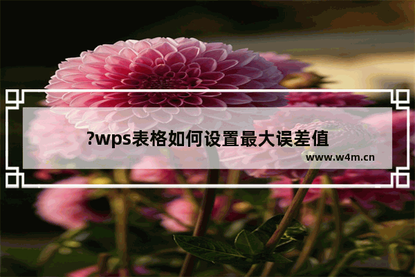 ?wps表格如何设置最大误差值