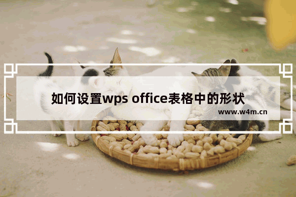 如何设置wps office表格中的形状效果？