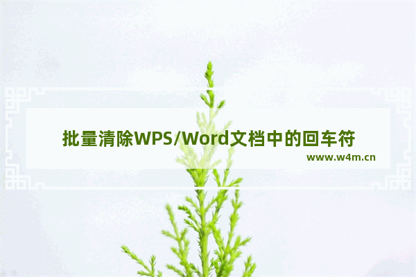 批量清除WPS/Word文档中的回车符