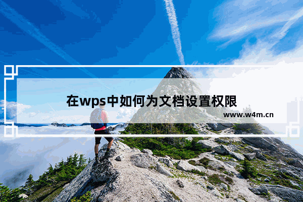 在wps中如何为文档设置权限