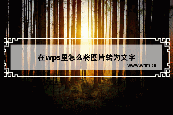 在wps里怎么将图片转为文字