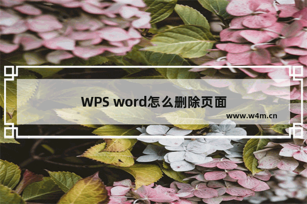 WPS word怎么删除页面