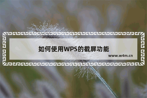 如何使用WPS的截屏功能