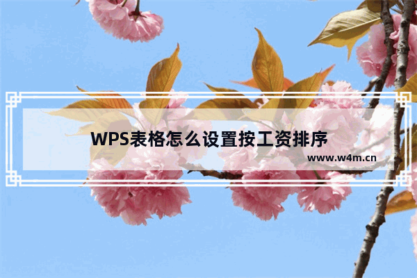 WPS表格怎么设置按工资排序