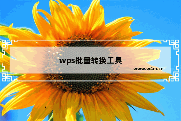 wps批量转换工具