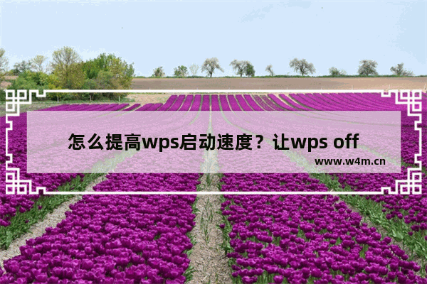 怎么提高wps启动速度？让wps office打开速度更快的方法介绍