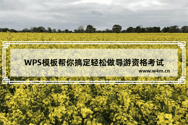 WPS模板帮你搞定轻松做导游资格考试