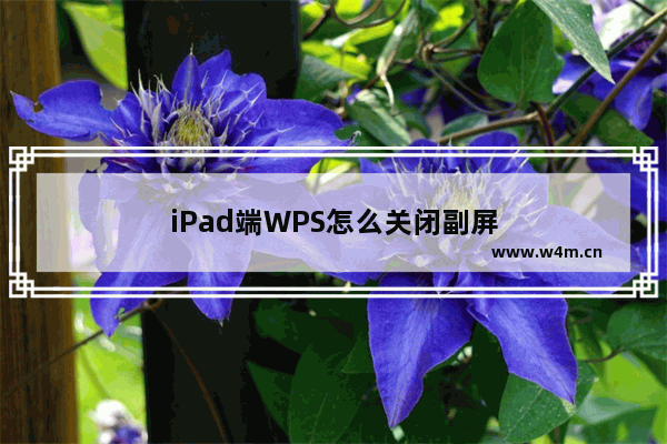 iPad端WPS怎么关闭副屏