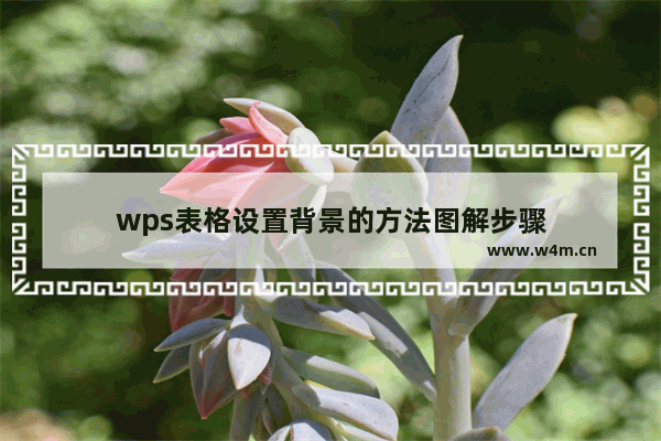 wps表格设置背景的方法图解步骤