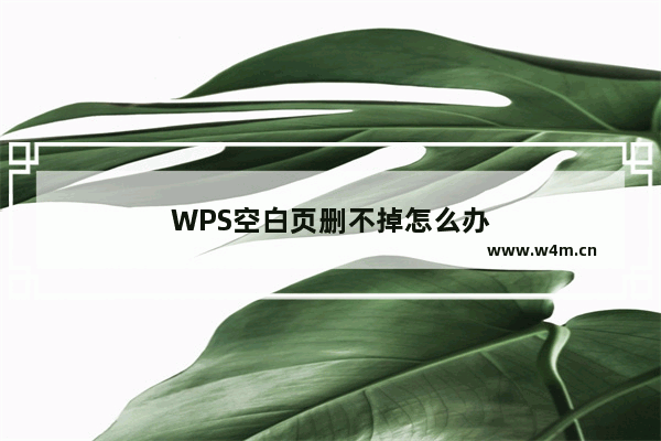 WPS空白页删不掉怎么办