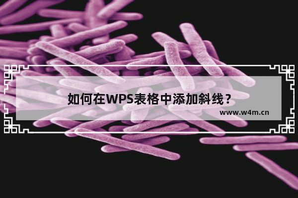 如何在WPS表格中添加斜线？