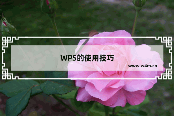 WPS的使用技巧