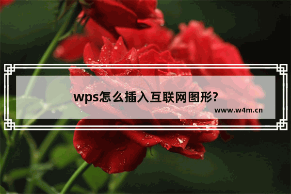 wps怎么插入互联网图形?