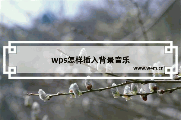 wps怎样插入背景音乐