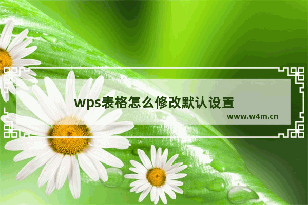 wps表格怎么修改默认设置