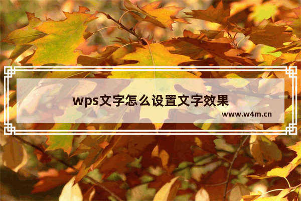 wps文字怎么设置文字效果