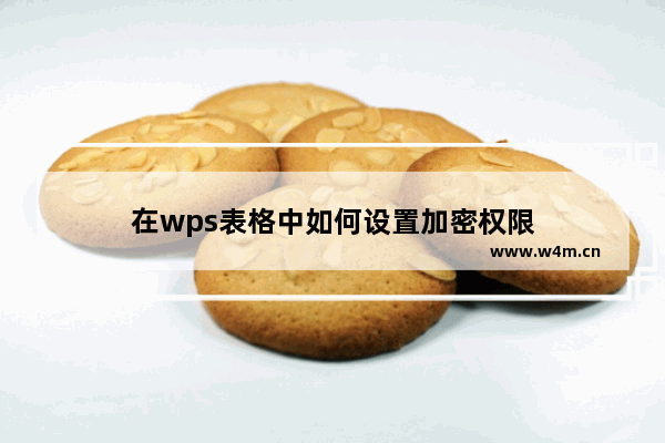 在wps表格中如何设置加密权限