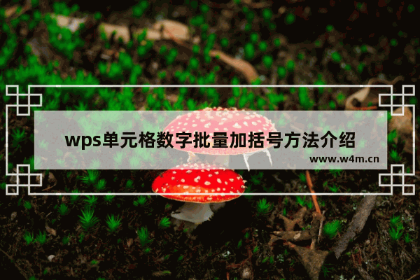 wps单元格数字批量加括号方法介绍