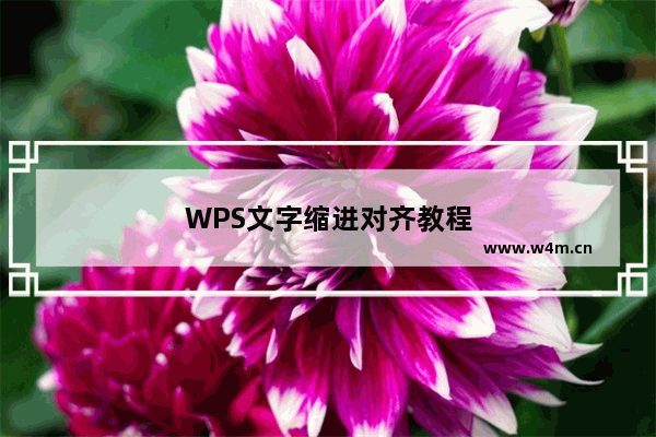 WPS文字缩进对齐教程