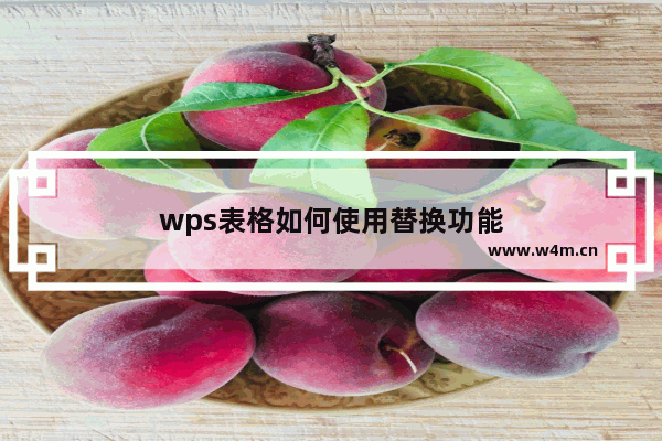 wps表格如何使用替换功能