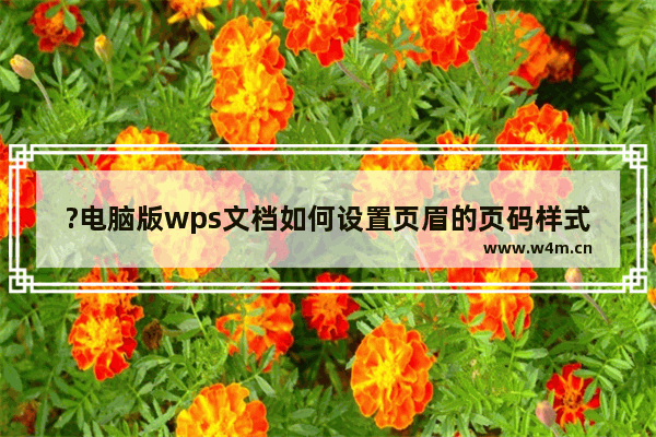 ?电脑版wps文档如何设置页眉的页码样式