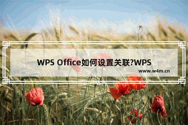 WPS Office如何设置关联?WPS Office设置关联方法