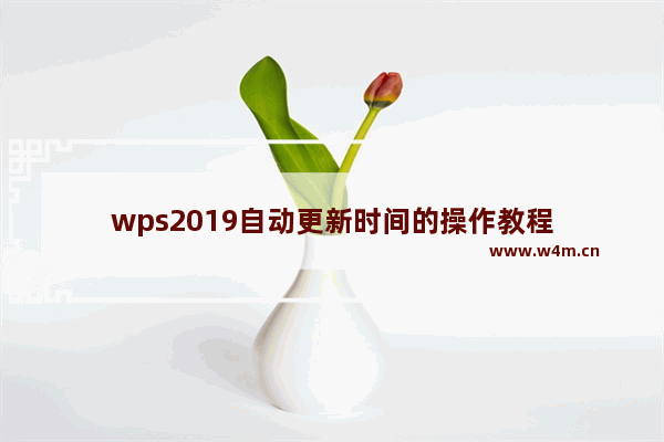 wps2019自动更新时间的操作教程