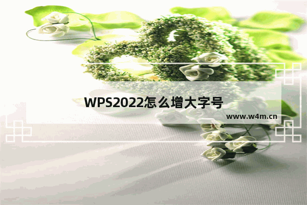 WPS2022怎么增大字号