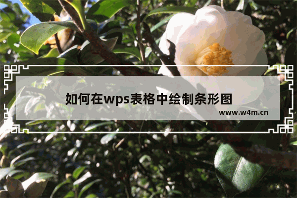 如何在wps表格中绘制条形图