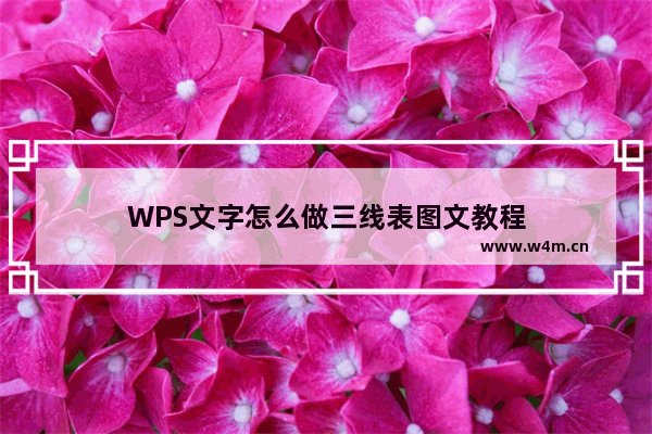 WPS文字怎么做三线表图文教程