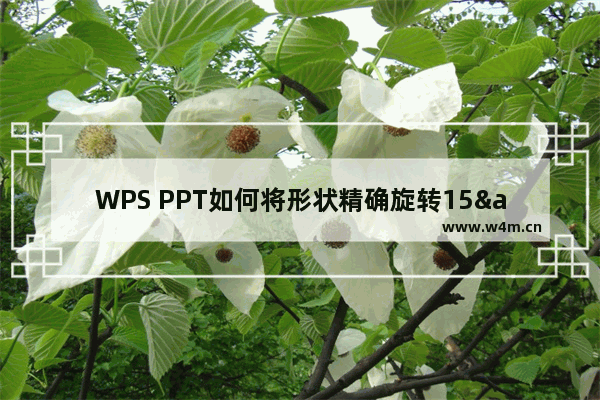 WPS PPT如何将形状精确旋转15°