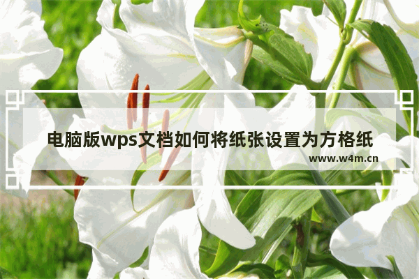 电脑版wps文档如何将纸张设置为方格纸