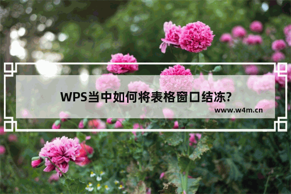 WPS当中如何将表格窗口结冻?