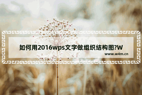 如何用2016wps文字做组织结构图?WPS文字制作组织结构图的方法教程