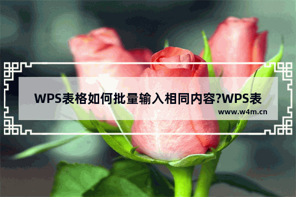 WPS表格如何批量输入相同内容?WPS表格批量输入相同内容教程