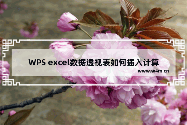 WPS excel数据透视表如何插入计算字段