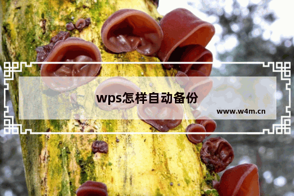 wps怎样自动备份