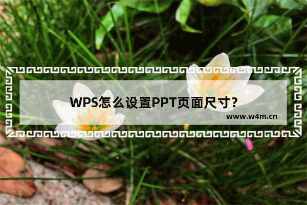 WPS怎么设置PPT页面尺寸？