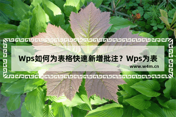 Wps如何为表格快速新增批注？Wps为表格快速新增批注方法