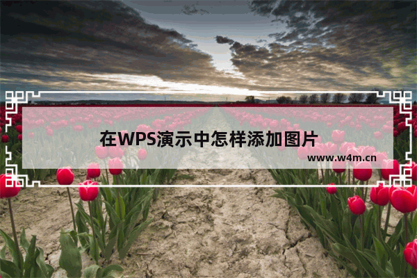 在WPS演示中怎样添加图片