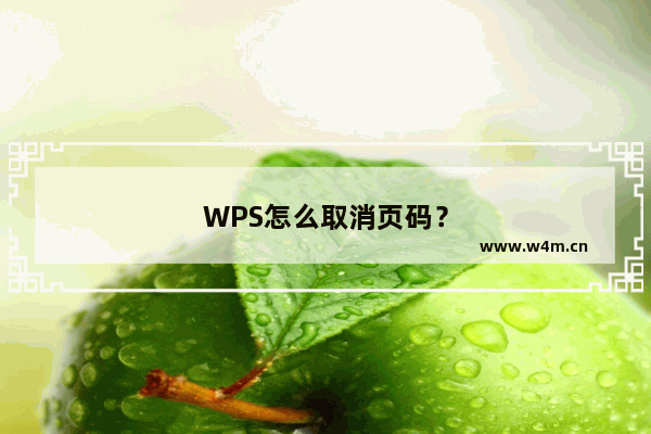 WPS怎么取消页码？