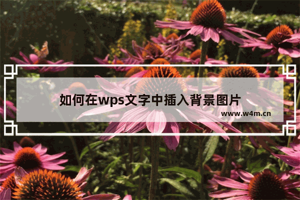 如何在wps文字中插入背景图片