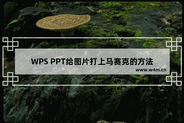 WPS PPT给图片打上马赛克的方法