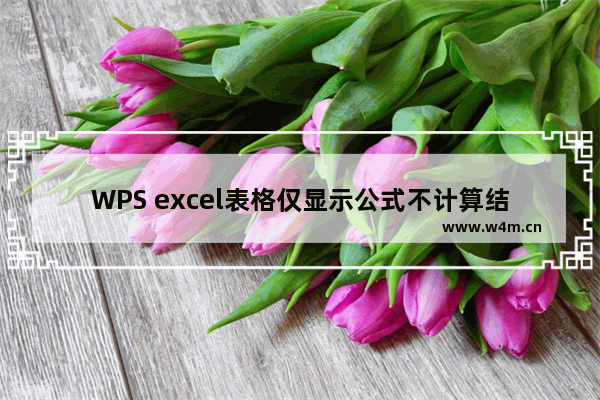 WPS excel表格仅显示公式不计算结果怎么办