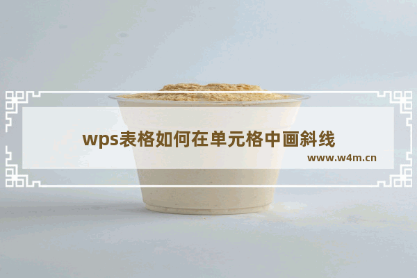 wps表格如何在单元格中画斜线