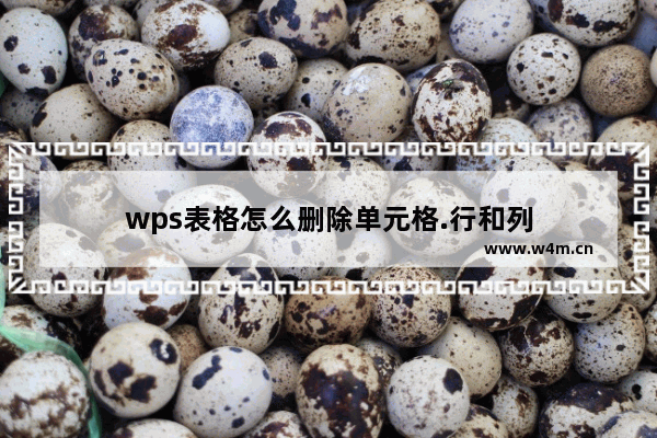 wps表格怎么删除单元格.行和列