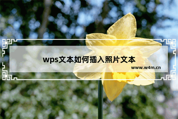 wps文本如何插入照片文本