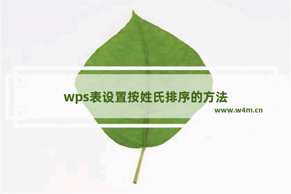 wps表设置按姓氏排序的方法