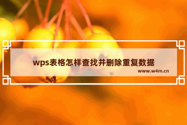 wps表格怎样查找并删除重复数据