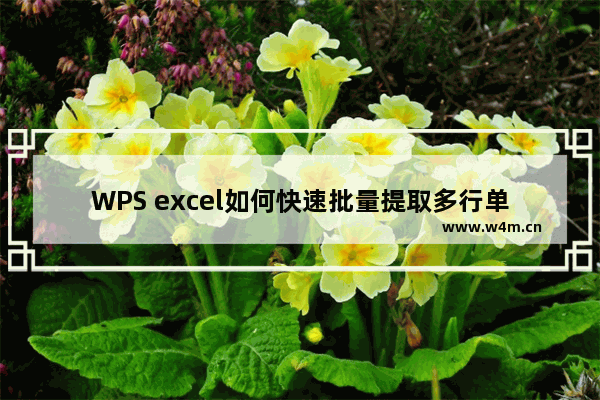 WPS excel如何快速批量提取多行单元格中的部分信息